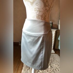 Express. Elegant Light Gray Silver Women's Skirt